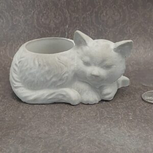 Cat Bowl